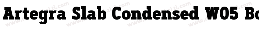 Artegra Slab Condensed W05 Bold字体转换